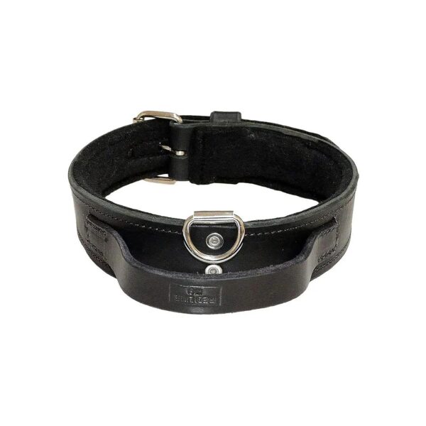 Medium-Sized Dog Collar with Heavy Duty Leather and Felt Padding for Comfort