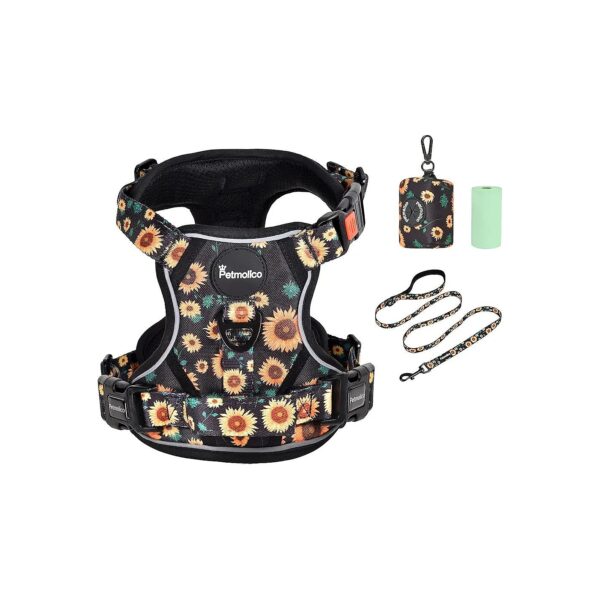 Medium-Sized Dog Leash and Harness Set with Poop Bag Holder for Convenient Walking