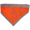 Medium-Sized Dog Neck Bandana with Reflective Trim and Neon Orange Color