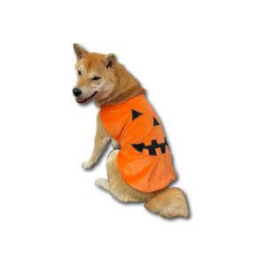 Medium-Sized Dog Pumpkin Costume for New Year, Christmas, and Halloween