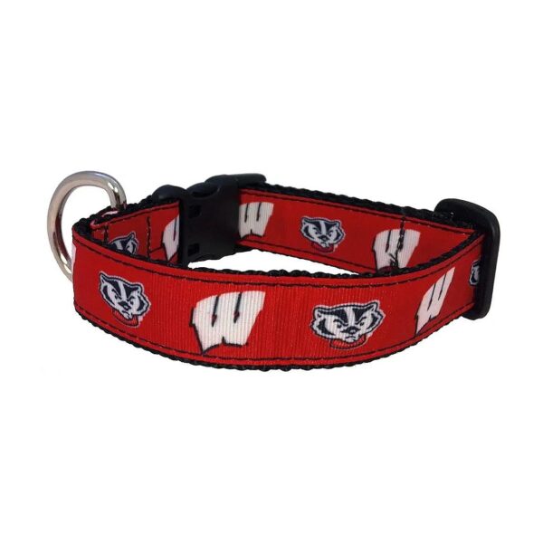 Medium Sized NCAA Dog Collar with Sublimated Wisconsin Badgers Logo Ribbon and USA Made