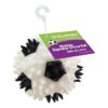 Medium Sized Squeaker Soccer Ball Dog Toy for All Breed Sizes