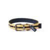 Medium Sized Yellow and Navy Striped Dog Collar with Nylon and Leather Construction