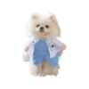 Medium White Doctor Pet Uniform Costume for Small Dogs and Cute Cats