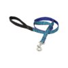 Medium and Larger Dog Leash with Padded Handle, Rain Song Color and 3/4 Inch Width