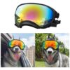 Medium to Large Breed Dog Sunglasses with Windproof and Dustproof Design