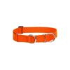 Medium to Large Dog Blaze Orange Nylon Martingale Collar with Guaranteed Durability