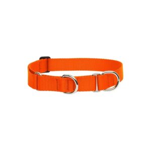 Medium to Large Dog Blaze Orange Nylon Martingale Collar with Guaranteed Durability