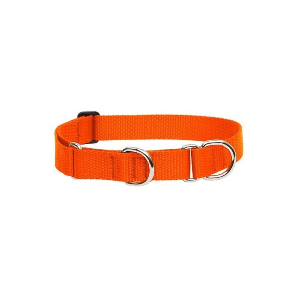 Medium to Large Dog Blaze Orange Nylon Martingale Collar with Guaranteed Durability