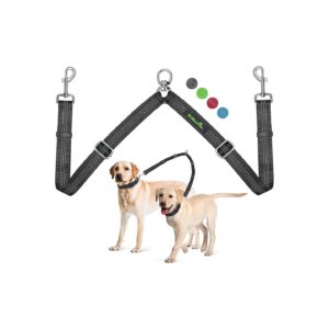 Medium to Large Dog Walking Leash System with Two Leashes and Heavy Duty Clasp and Buckle