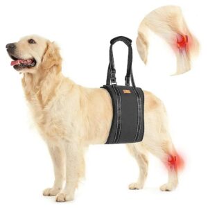 Medium to Large Dogs Supportive Lift Harness with Reflective Band for All Season Comfort