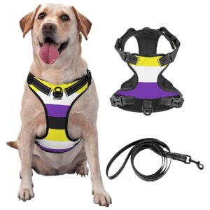 Mesh Dog Vest Harness with Non-Binary Pride Flag Design and No-Pull Leash for Training