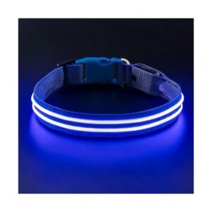 Metal D-Ring, USB Rechargeable, High Visibility Safety for Large Dogs