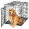 Metal Dog Crate for Safe and Secure Accommodation of Large Dogs