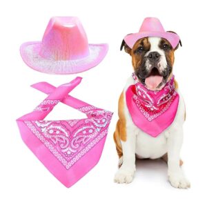 Metallized Cowboy Hat and Paisley Bandana Costume Set for Pets in Metallic Pink Color