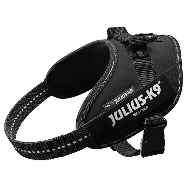 Mini Black Dog Harness with Reflective Elements for Safe Walks