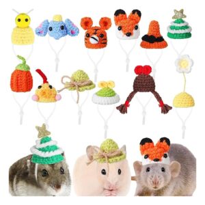 Mini Guinea Pig Hats with Adjustable Rope for Snakes Lizards Hamsters Pets Accessories