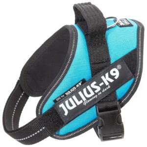 Mini-Mini Dog Harness XS Mini-Mini Solid Color Aquamarine for Everyday Use