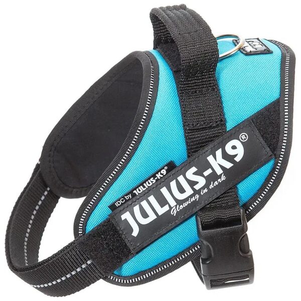 Mini-Mini Dog Harness XS Mini-Mini Solid Color Aquamarine for Everyday Use