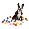 Mini Tennis Balls in Assorted Colors for Small Breed Puppies and Dogs