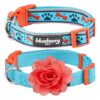 Mix and Match Sky Blue Adjustable Dog Collar with Detachable Orange Flower