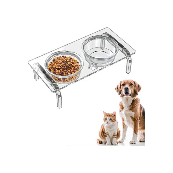 Modern Acrylic Dog and Cat Bowl Holder Set with Thickened Glass Bowls and Compact Design