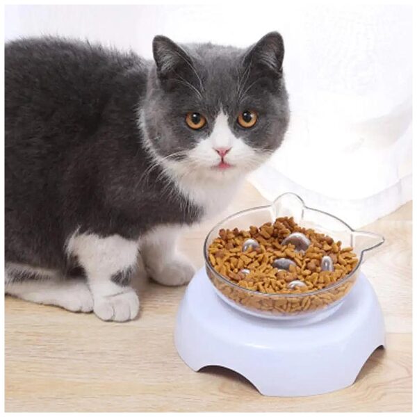 Modern Pet Food Bowl with Slow Feed System and Elevated Stand for Cats and Small Dogs