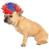 Mohawk Wig for Small to Medium Dogs with Red and Blue Color