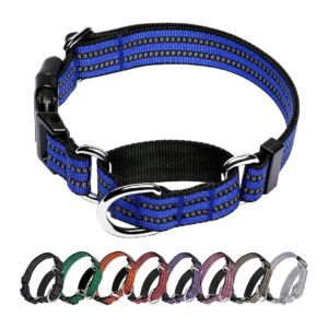 Most Effective Martingale Dog Collar for Training and Behavioral Correction in Large Blue