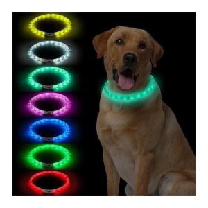 Multi-Color LED Dog Collar with Adjustable Brightness for Night Walking