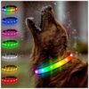 Multi-Colored Adjustable Led Dog Collar for Small Medium Large Dogs