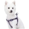 Multi-Colored Stripe Padded Reflective Dog Harness with 3M Reflective Strips