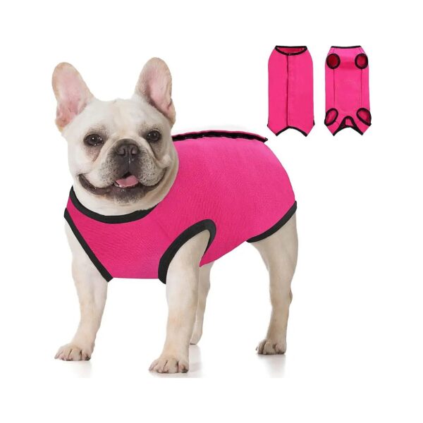 Multi-Functional Post Operative Recovery Suit for Female Dogs Cats