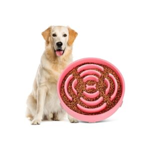 Multi-Purpose Slow Feeder Dog Food Bowl for Wet and Dry Food Feeding