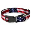 Multicolor American Flag Martingale Dog Collar with Quick Release Buckle