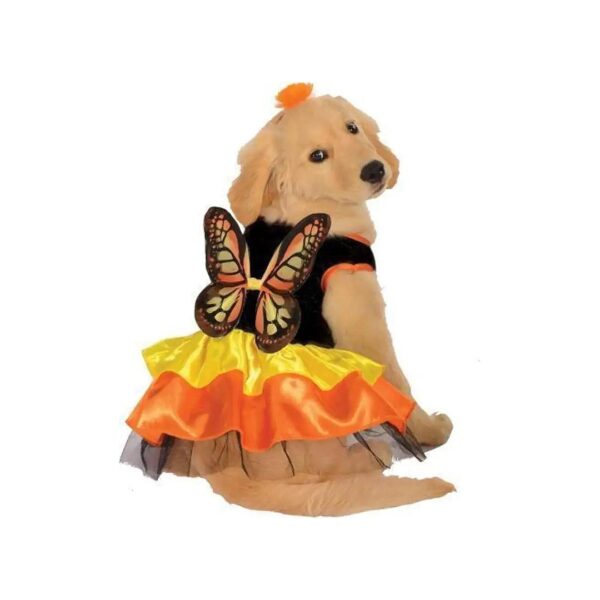 Multicolor Butterfly Costume for Dogs with Attached Wings and Flower Headband