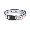 Multicolor Chicago Flag Polyester Dog Collar 5 Wide Large Size