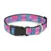 Multicolor Dog Clip Collar with Buckle Closure 11-17 Neck Width Medium