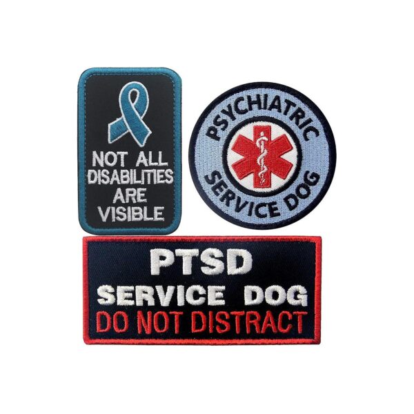 Multicolor Embroidered Patches with Disability Education and EMS Medic Paramedic Emblems