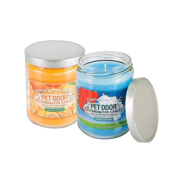 Multicolor Glass Candle Set with Lemon and Orange Scents