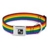 Multicolor Polyester Flag Pride Rainbow Dog Collar Seatbelt Buckle for Medium Dogs