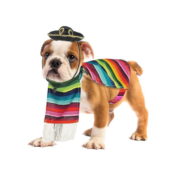 Multicolored Mexican Serape Dog Poncho and Sombrero Costume for Small Breeds