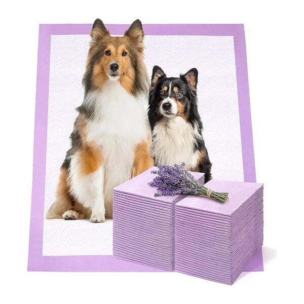 Multilayered Disposable Dog Potty Training Pads for Pet Odor Control