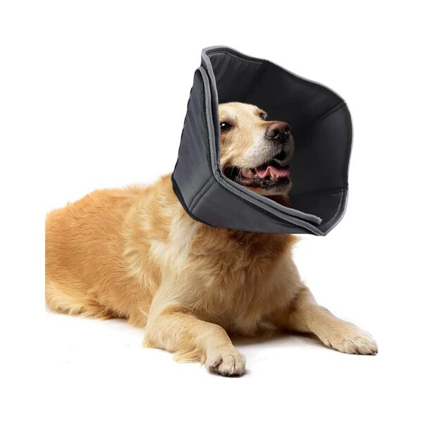 Multipurpose Cone for Dogs for Recovery and Everyday Use