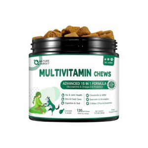 Multivitamin with MSM Glucosamine Omega 3 6 Probiotics for Dogs with Sensitive Stomachs