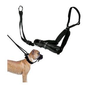 Muzzle Strap Head Halter for Large Dogs No Pull Black Dog Harness for Active Pets