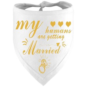 My Humans Wedding Engagement Gift Dog Bandana Wedding Photo Prop Accessories Gold