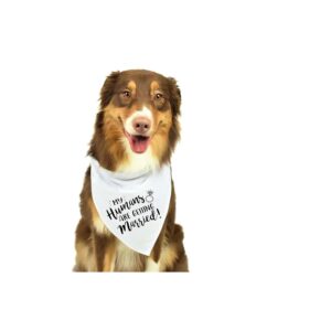 My Humans are Getting Married Dog Bandana with High-Quality Printing