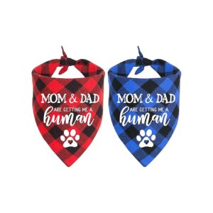 My Parents Are Getting Me a Human Dog Plaid Bandana Photo Prop Accessories