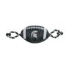 NCAA Michigan State Spartans Collegiate Team Color